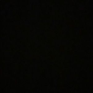 Meet your Posher, Molly